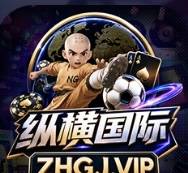 纵横国际（新台上线）